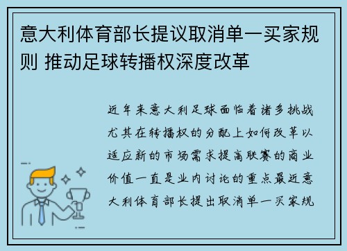 意大利体育部长提议取消单一买家规则 推动足球转播权深度改革